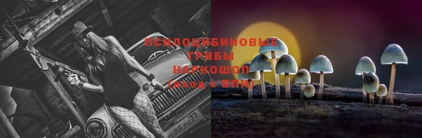 2c-b Верхнеуральск