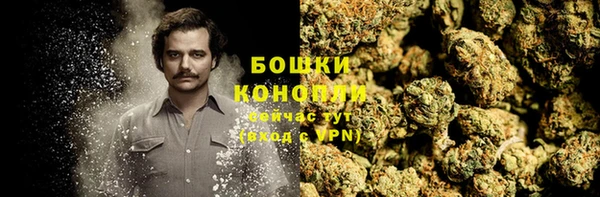 МДПВ Верея