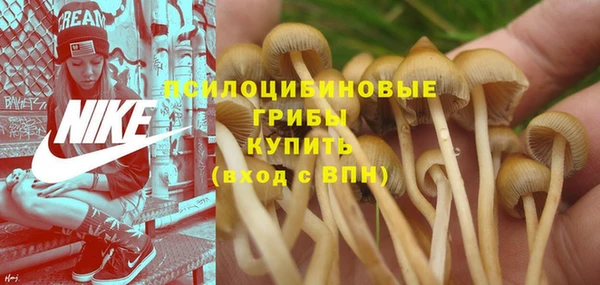 2c-b Верхнеуральск