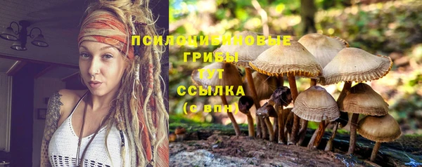 2c-b Верхнеуральск