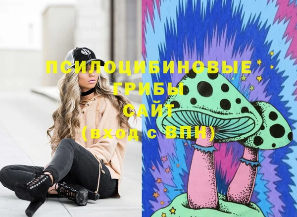 МДПВ Верея